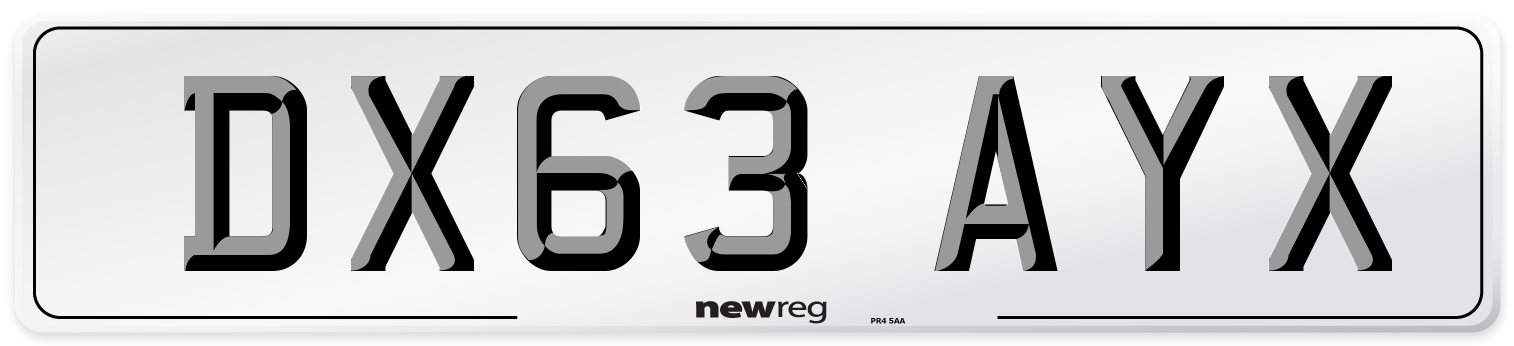 DX63 AYX Number Plate from New Reg